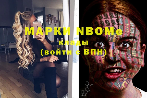 индика Сосновоборск