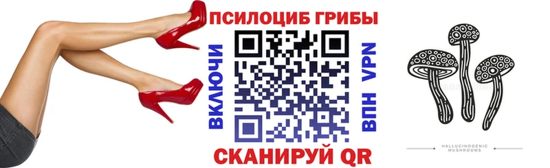 Псилоцибиновые грибы ЛСД  Щёкино 
